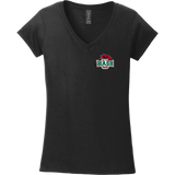 Wash U Softstyle Ladies Fit V-Neck T-Shirt