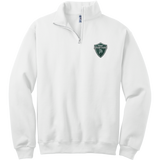Biggby Spartans NuBlend 1/4-Zip Cadet Collar Sweatshirt