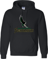 Wilmington Nighthawks Youth Pullover Hoodie