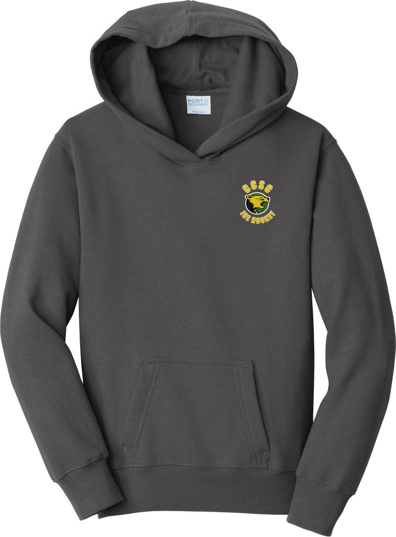 Chester County Youth Fan Favorite Fleece Pullover Hooded Sweatshirt