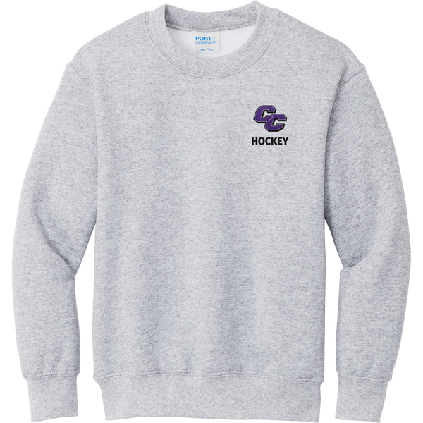 Curry College Youth Core Fleece Crewneck Sweatshirt